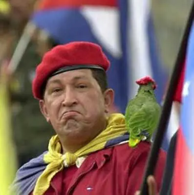 200 чиновници се грижат за профила на Чавес в Twitter