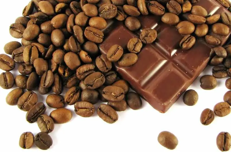 Британците са най-пристрастени към кафе, шоколад и facebook