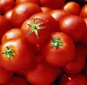 Спецекип ще контролира вноса на турски зеленчуци за пестициди