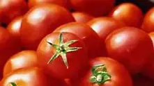 Спецекип ще контролира вноса на турски зеленчуци за пестициди
