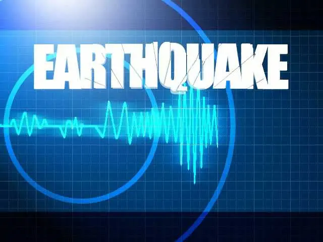 Силни земетресения в Чили и Нова Зеландия 