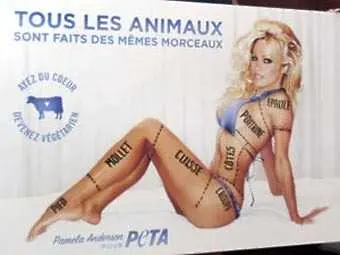 Канада забрани реклама с Памела Андерсен, властите бъркат сексуално и сексистко
