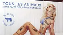 Канада забрани реклама с Памела Андерсен, властите бъркат сексуално и сексистко