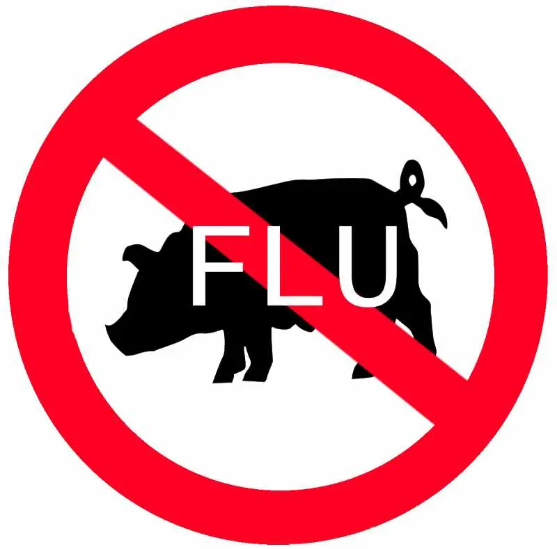 СЗО официално обяви край на пандемията от свински грип