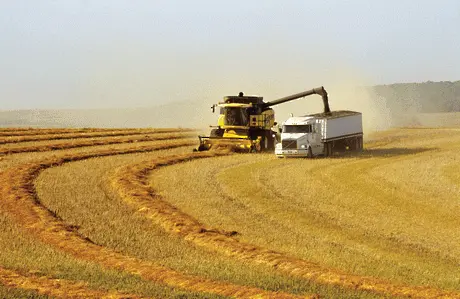 Русия спира износа на зърно заради сушата