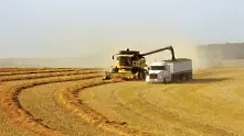 Русия спира износа на зърно заради сушата