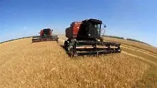 Шефът на стоковата борса: Сега е моментът да изнасяме пшеница!