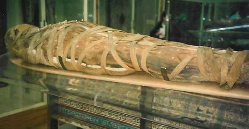 Истината за рака идва от мумиите