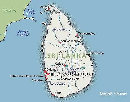 Нелепа експлозия отне живота на 60 души в Шри Ланка