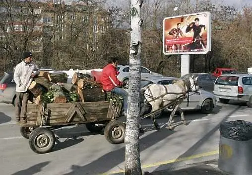 Скоро, наказателни паркинги и за коне в София