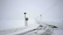 Първи сняг предизвика транспортен хаос в Австрия