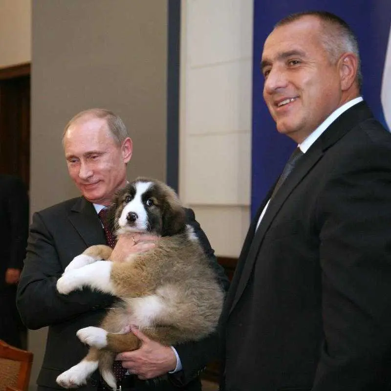След лабрадора и козата Путин получи овчарката Йорго