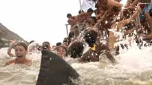 Отварят плажовете, нападнати от акули в Египет      