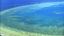 Екокатастрофа надвисна над Големия бариерен риф   