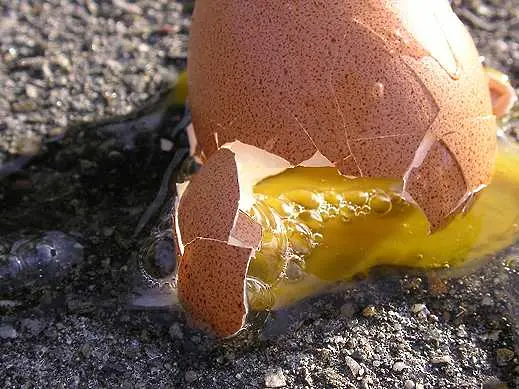 Боят с яйца официално разрешен при протести в Турция