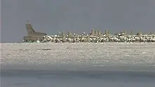 Морето край Варна замръзна