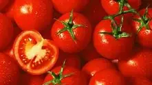 Италианската мафия държала и бизнеса с домати