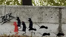 Нашествие от мишки в центъра на Париж