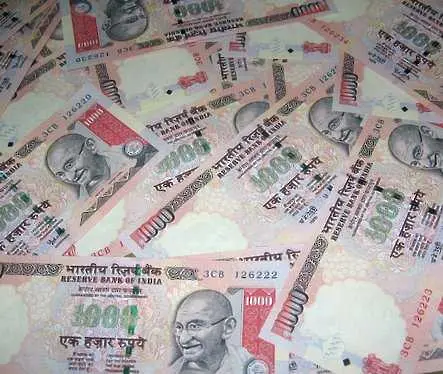 Термити изядоха огромна сума пари в индийска банка