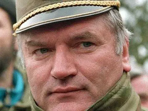Ратко Младич очаква делото си в Хага