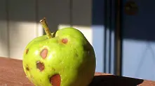Шокова терапия за гнилата ябълка в екипа