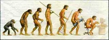 Еволюцията може да се случва 3 пъти по-бавно