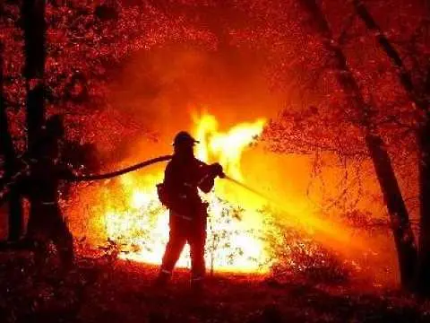 Територията на Русия е обхваната от 224 пожара