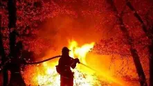Територията на Русия е обхваната от 224 пожара