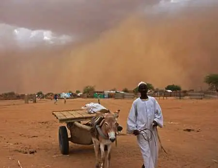 11 млн. са заплашени от смърт заради невиждана суша в Африка   