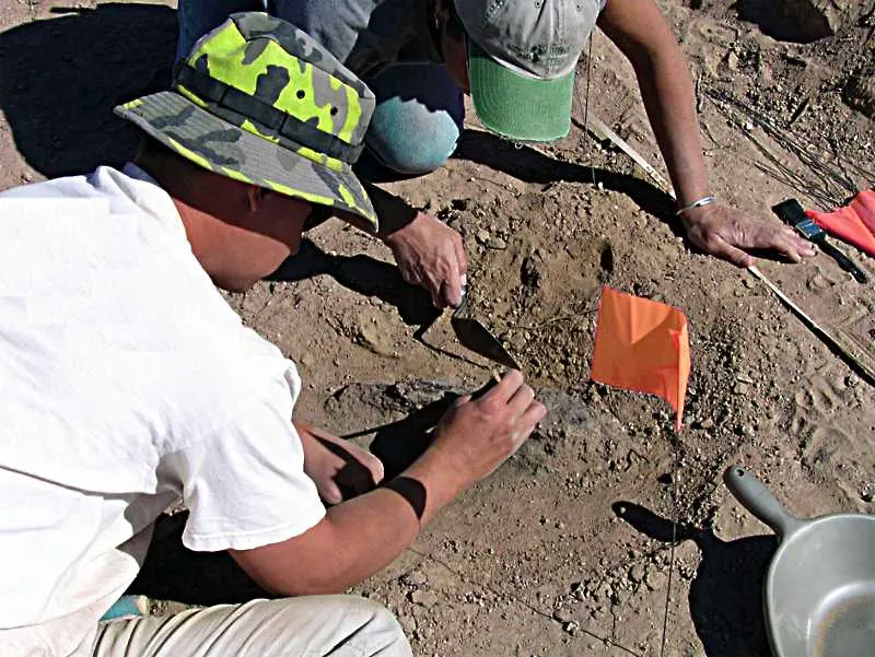 Археолози: Праисторическият човек е ловял риба в открито море   