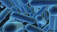 Неизтребими бактерии убиват 25 хил. европейци годишно