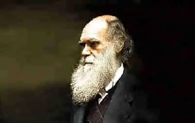 Откриха мостри на Чарлз Дарвин, забравени в шкаф      