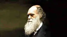 Откриха мостри на Чарлз Дарвин, забравени в шкаф      