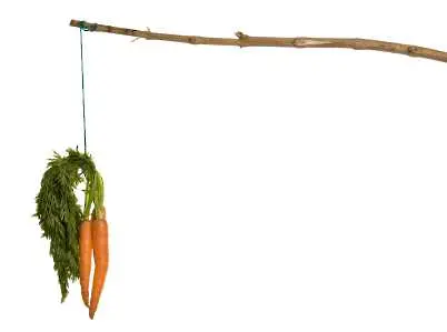 Новата притча за моркова и тоягата