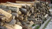 Без търговия с дървесина на Стоковата борса