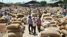 Индия спря да изнася памук