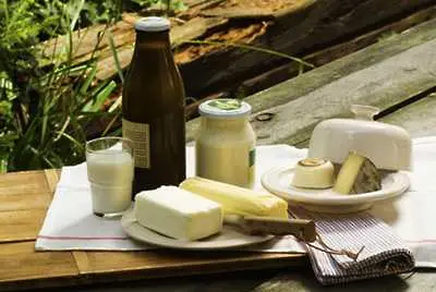 ЕС ще рекламира български млечни продукти в Австралия и Обединените арабски емирства      