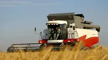 20% по-нисък добив на пшеницата очакват производители от бранша