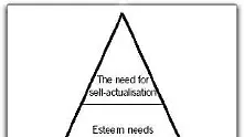 Нова теория за дъното на потребителската пирамида