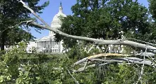 Силни бури оставиха Вашингтон в бедствено положение