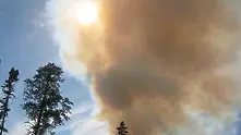 800 декара гора пламна близо до границата с Турция