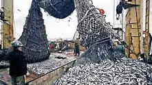 WWF: Запасите на риба ще намалеят с 90% до 2048 г.