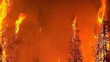 400 души гасят пожара в Белица