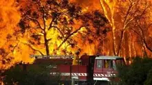 Пожарът в Новозагорско е овладян