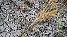 Невиждана суша нанася сериозен удар по земеделието на Балканите