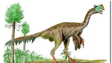 5 най-смешни динозавъра, за които сигурно не знаете