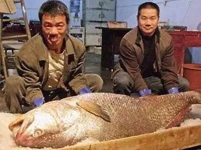 Китайски рибар хвана „златната рибка”