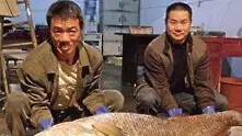 Китайски рибар хвана „златната рибка”