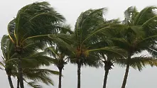 Тропическа буря се насочва към Флорида