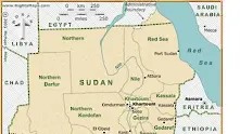 Падна самолет със судански министър и правителствена делегация